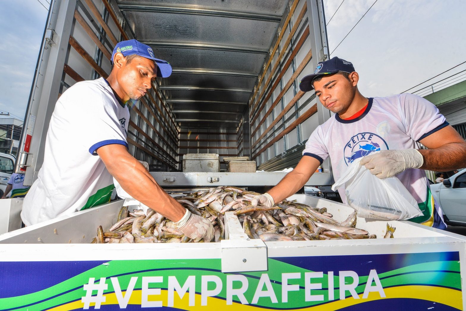 Peixe no Prato