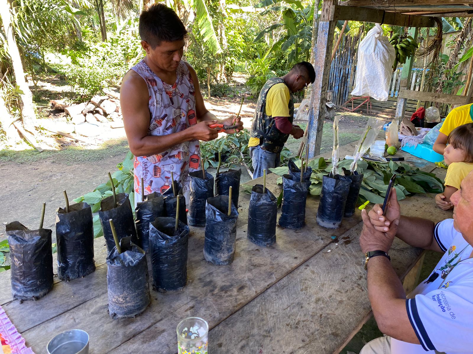 Secretaria de Agricultura realiza entrega de mudas clonais de café