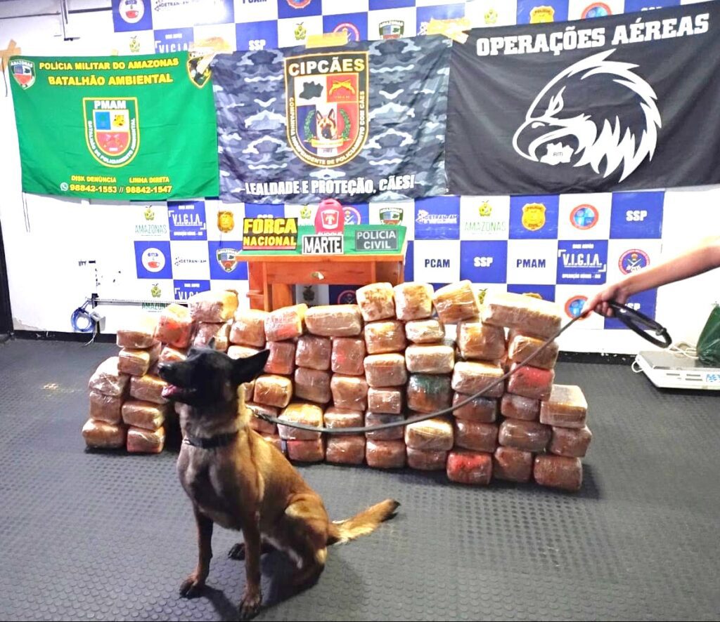 Foto: Reprodução/Agência Amazonas