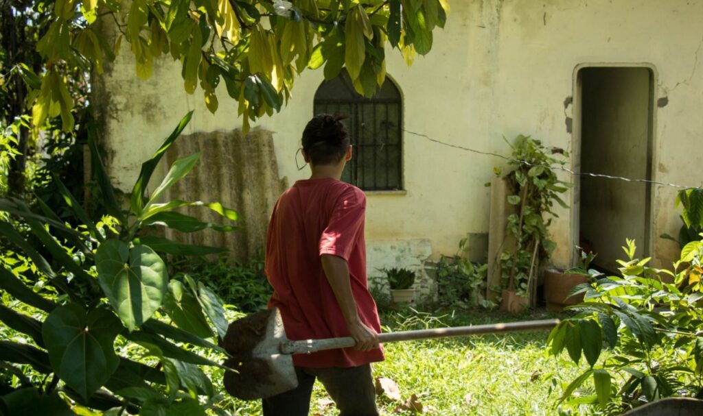 Foto: Reprodução/Agência Amazonas