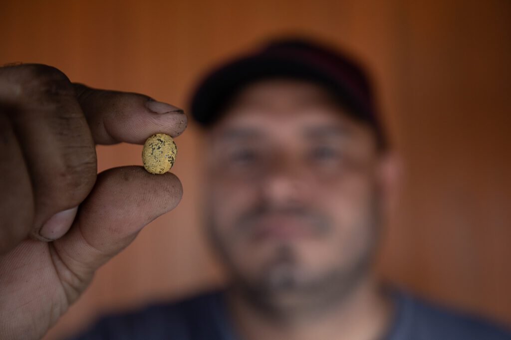 >O garimpeiro e dono de balsa, Raimundo Alex mostra cerca de 4 gramas de ouro que conseguiu retirar do fundo do rio Madeira. Cerca de 26 balsas de garimpo ilegal de ouro que estão em atividade e em uma formação conhecida como “fofoca”, no rio Madeira, nas proximidades da capital Porto Velho RO. 22 de março de 2023. Foto: Bruno Kelly/Amazônia Real.