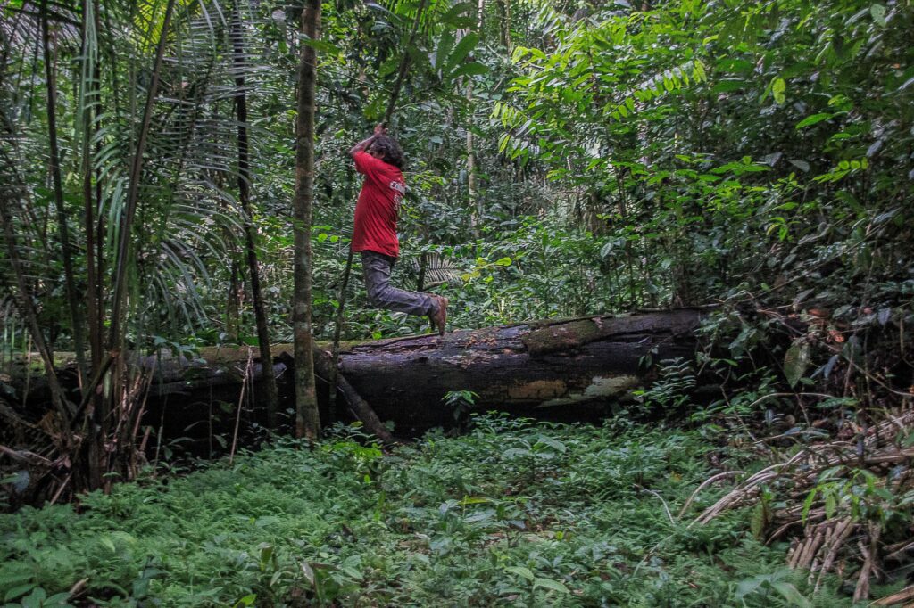 Foto: Reprodução/Agência Amazonas