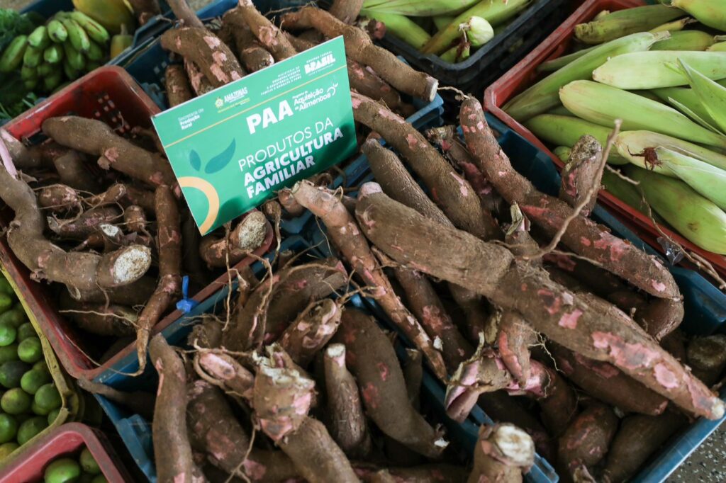 Foto: Reprodução/Agência Amazonas