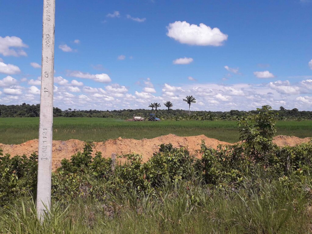 Foto: Reprodução/Agência Amazonas