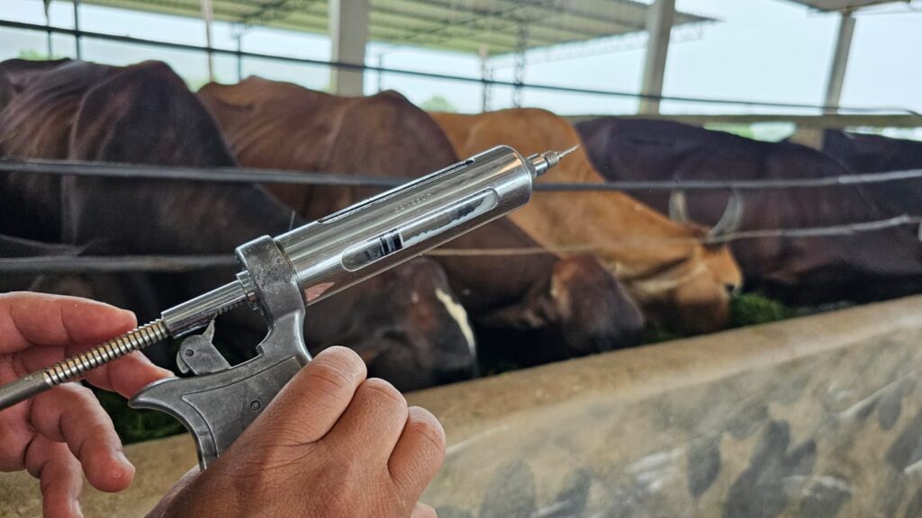 Foto: Reprodução/Agência Amazonas