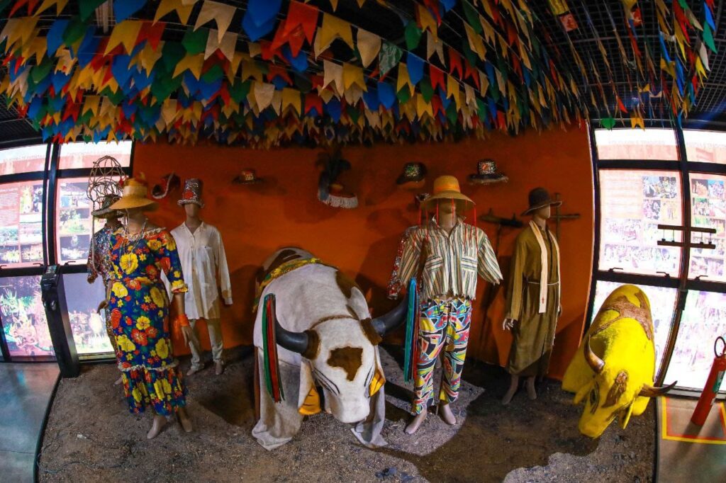 Foto: Reprodução/Agência Amazonas