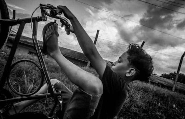 Foto: Reprodução/Agência Amazonas