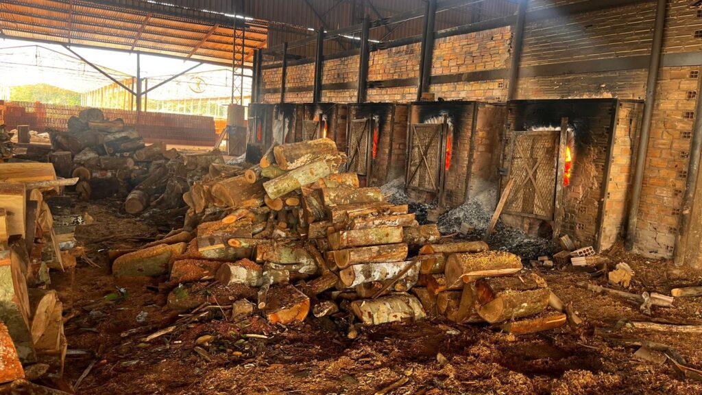 Foto: Reprodução/Agência Amazonas