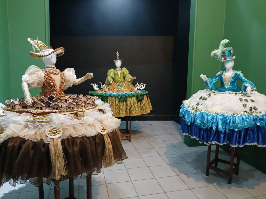 Foto: Reprodução/Agência Amazonas