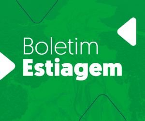 Governo do Amazonas divulga boletim sobre a estiagem no estado, nesta quarta-feira (01/01)