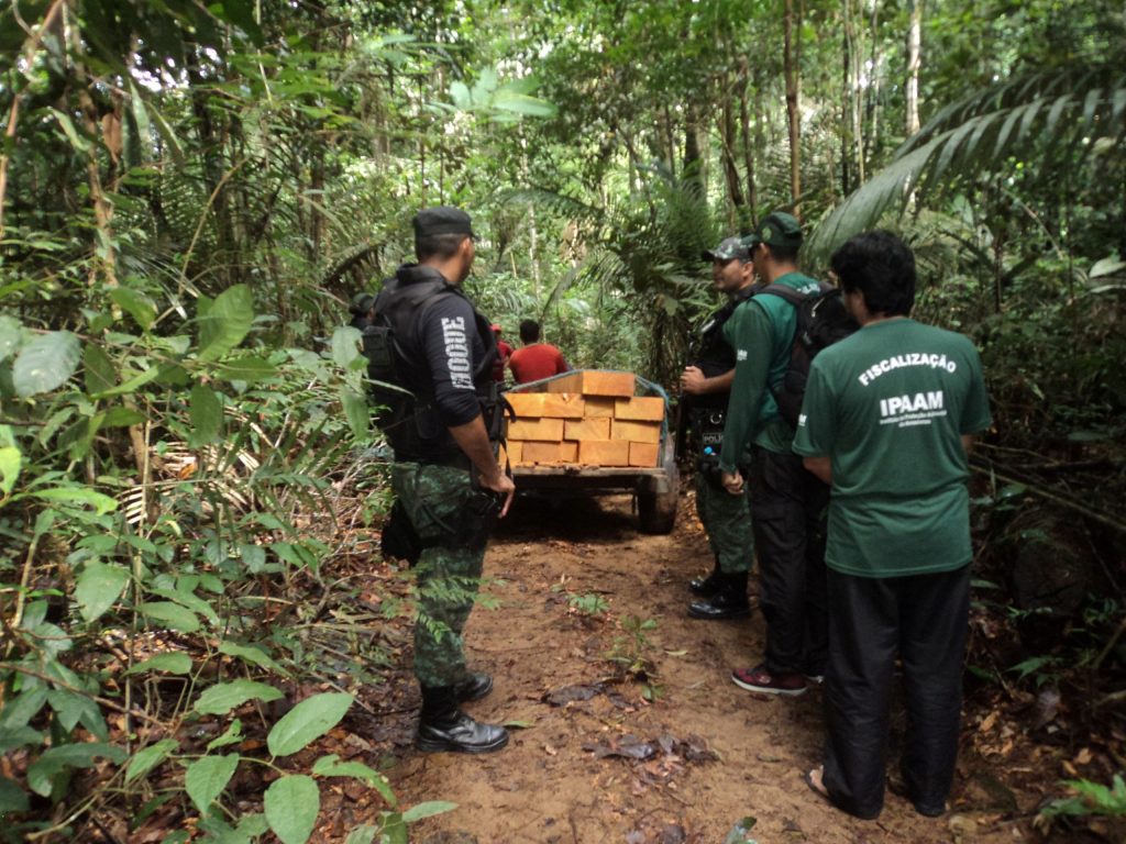 Foto: Reprodução/Agência Amazonas