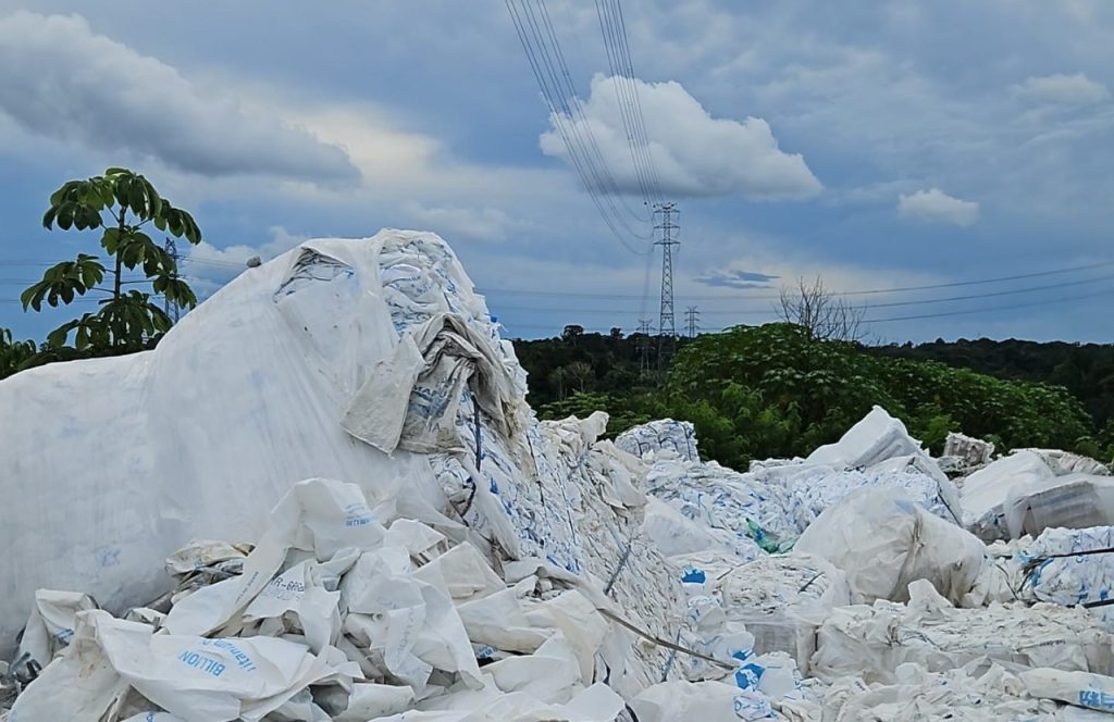 Foto: Reprodução/Agência Amazonas