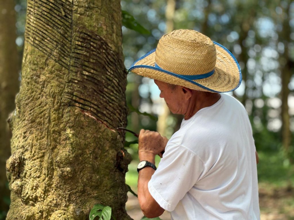 Foto: Reprodução/Agência Amazonas