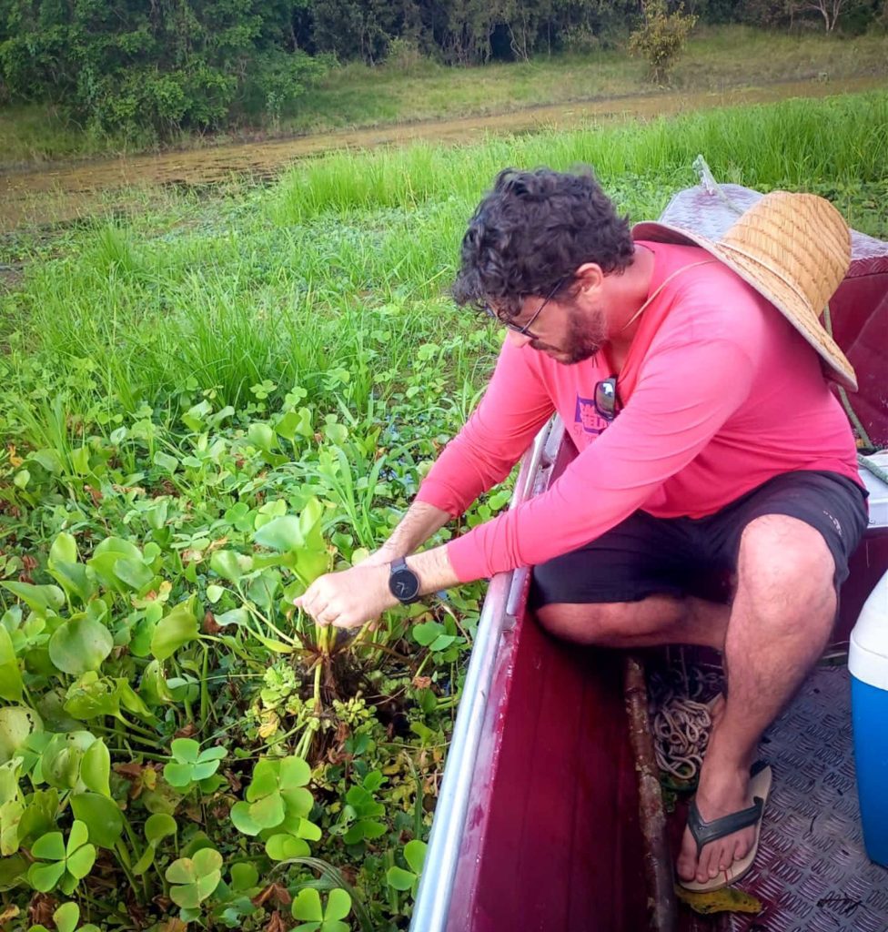 Com apoio do Governo do Amazonas, pesquisa identifica duzentas espécies de microalgas em Parintins 3 Fapeam Pesquisa identifica duzentas especies de microalgas em Parintins Foto arquivo da pesquisadora Angela Maria da Silva Lehmkuhl 2