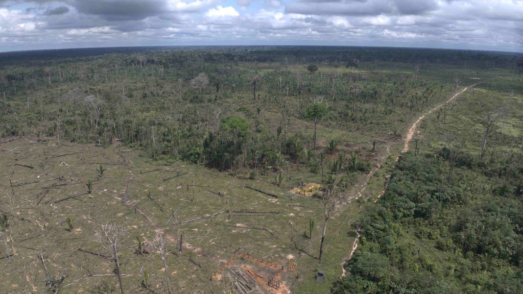 Ipaam aplica multa de R$ 5,4 milhões por desmatamento ilegal na Floresta Estadual de Tapauá 3 Fiscalizacao do Ipaam Foto 2 27 06 2025