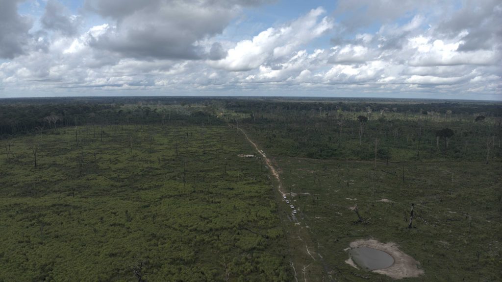 Ipaam aplica multa de R$ 5,4 milhões por desmatamento ilegal na Floresta Estadual de Tapauá 4 Fiscalizacao do Ipaam Foto 3 27 06 2025