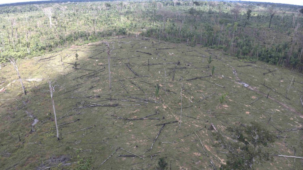 Ipaam aplica multa de R$ 5,4 milhões por desmatamento ilegal na Floresta Estadual de Tapauá 5 Fiscalizacao do Ipaam Foto 4 27 06 2025