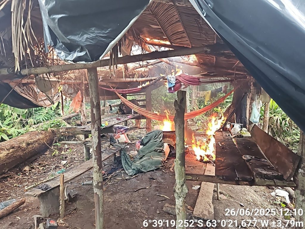 Operação Tamoiotatá V: Ipaam aplica mais de R$ 930 mil em multas por criação ilegal de gado na Floresta de Tapauá 4 Operacao Tamoiotata V Foto 3 27 06 2025