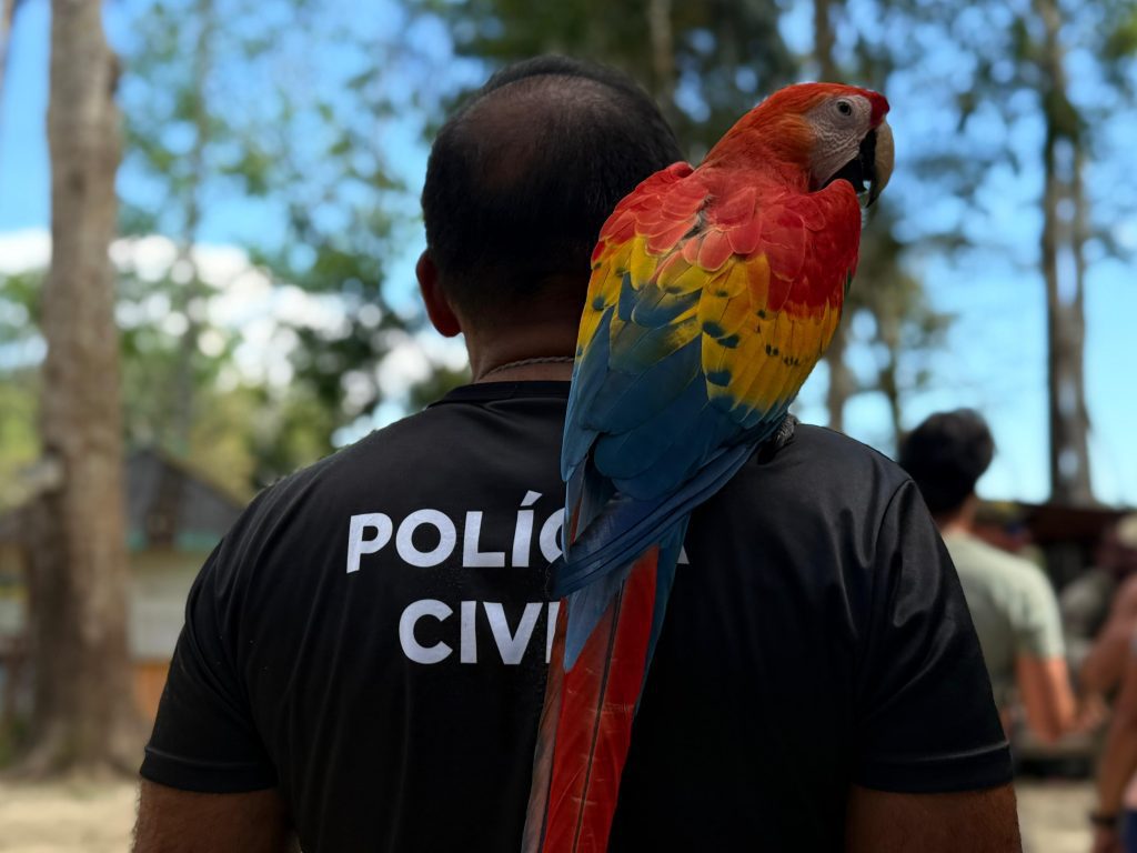 Foto: Reprodução/Agência Amazonas