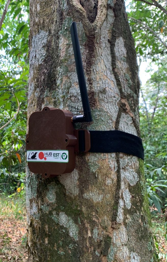 Foto: Reprodução/Agência Amazonas