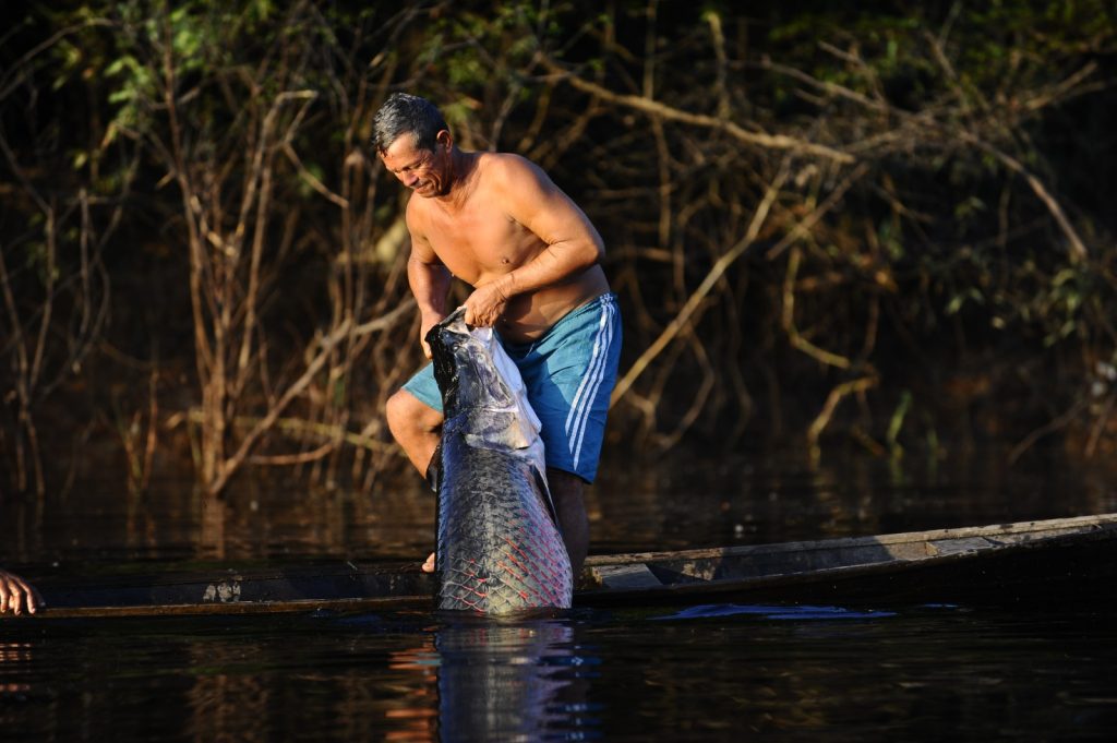 Foto: Reprodução/Agência Amazonas