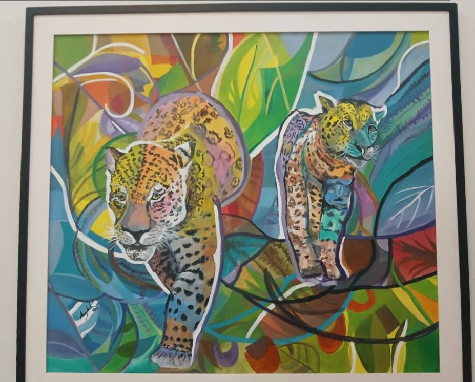 Foto: Reprodução/Agência Amazonas