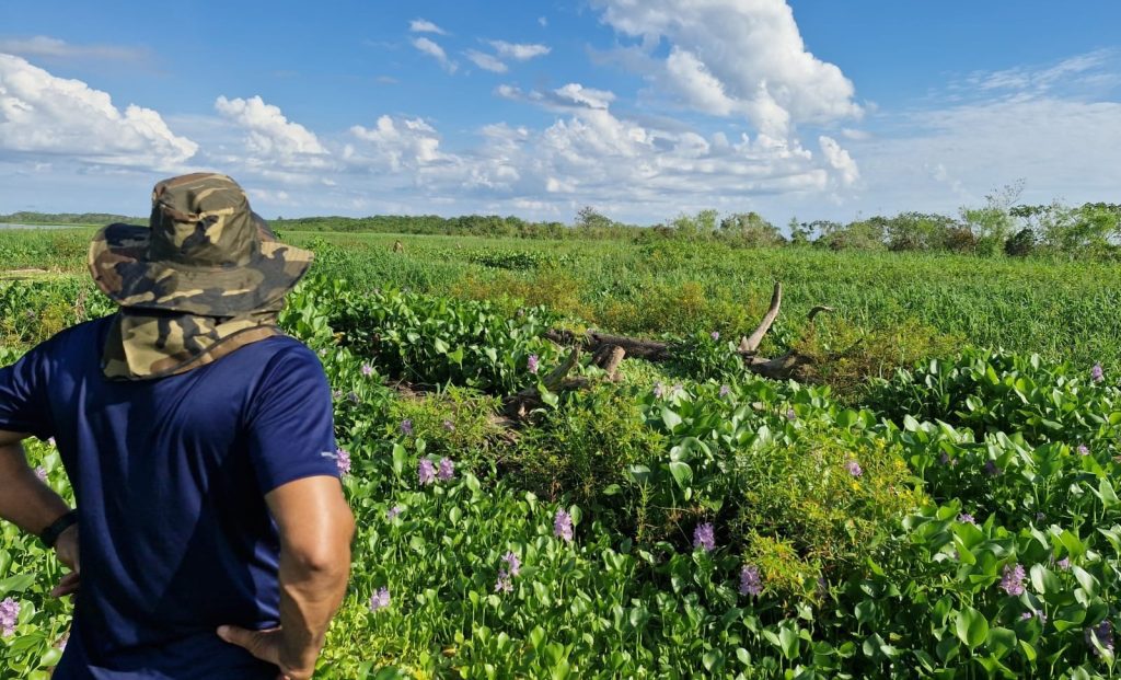 Foto: Reprodução/Agência Amazonas