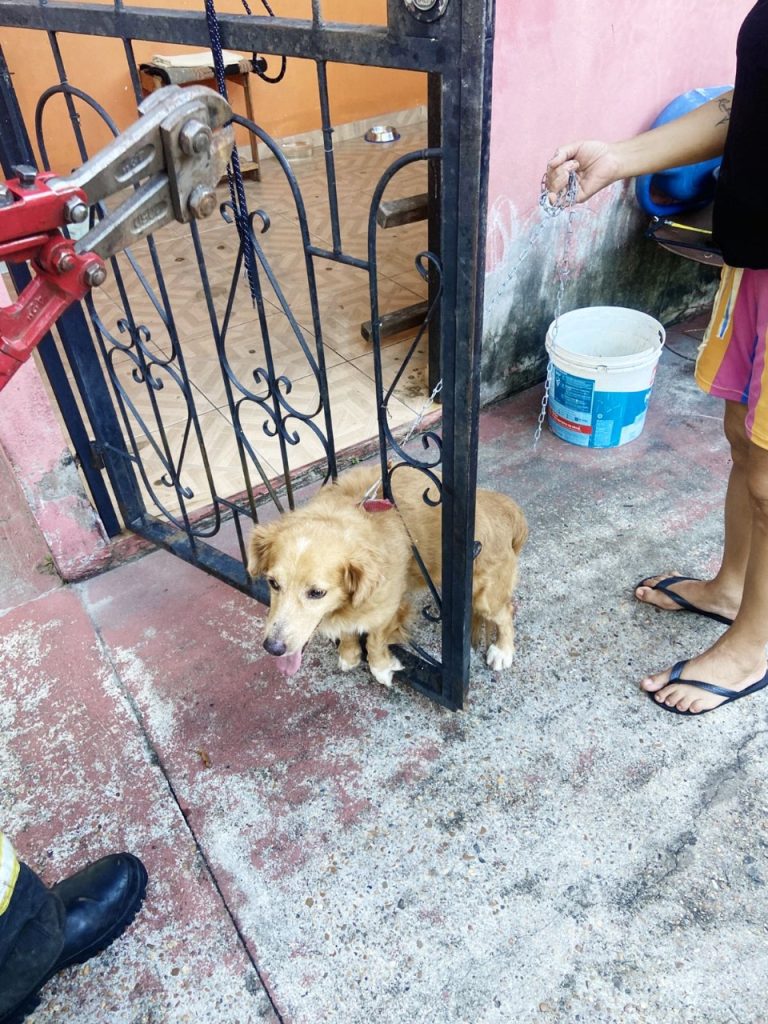 Foto: Reprodução/Agência Amazonas
