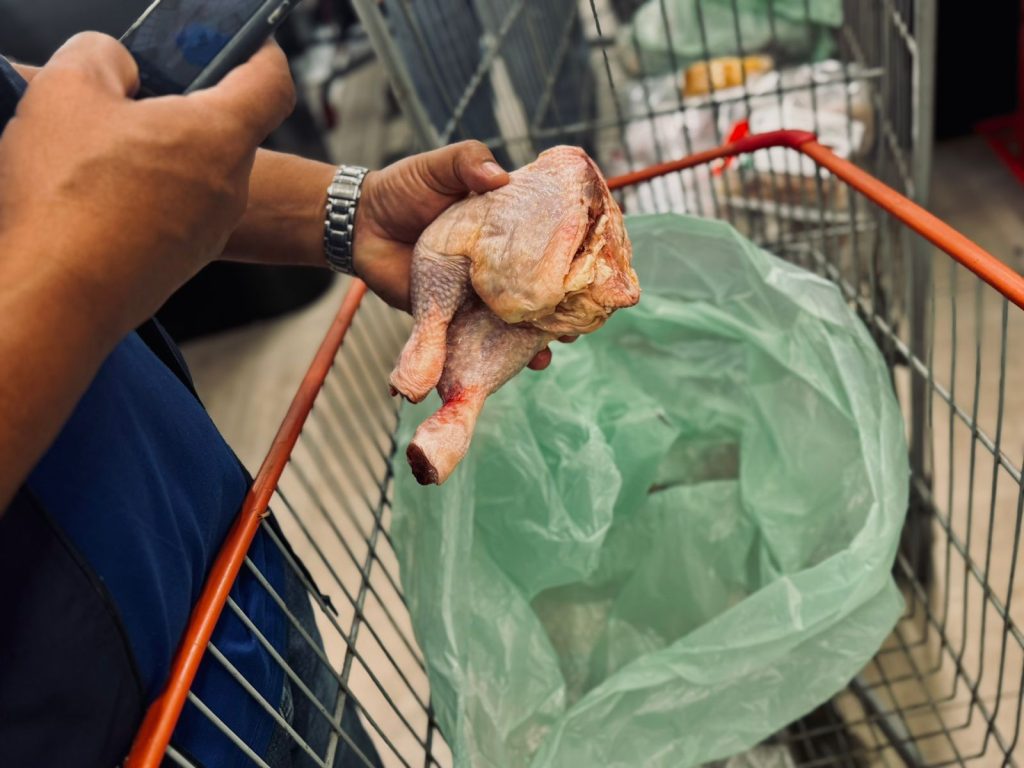 Foto: Reprodução/Agência Amazonas
