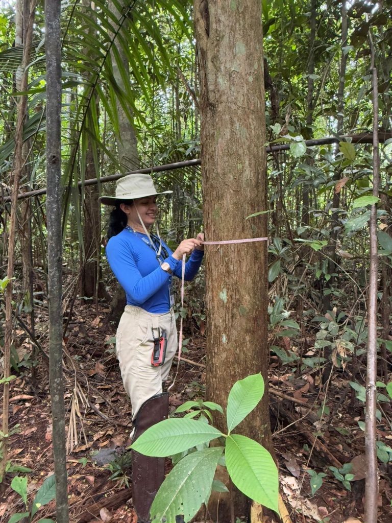 Dia do Engenheiro Florestal: ADS destaca a atuação dos profissionais em programas do órgão 3 Dia do Engenheiro Florestal: ADS destaca a atuação dos profissionais em programas do órgão