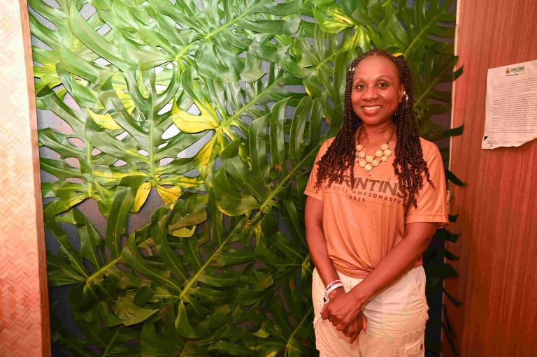 Festival de Parintins reforça internacionalização do Amazonas como destino turístico