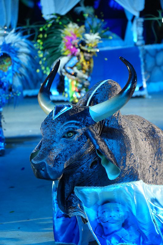 Foto: Reprodução/Agência Amazonas