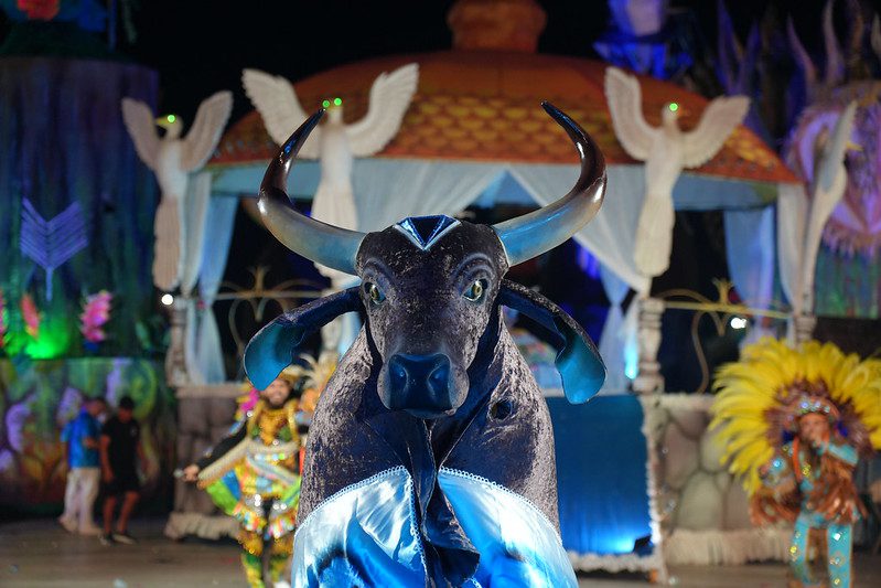 Foto: Reprodução/Agência Amazonas