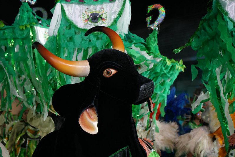 Foto: Reprodução/Agência Amazonas