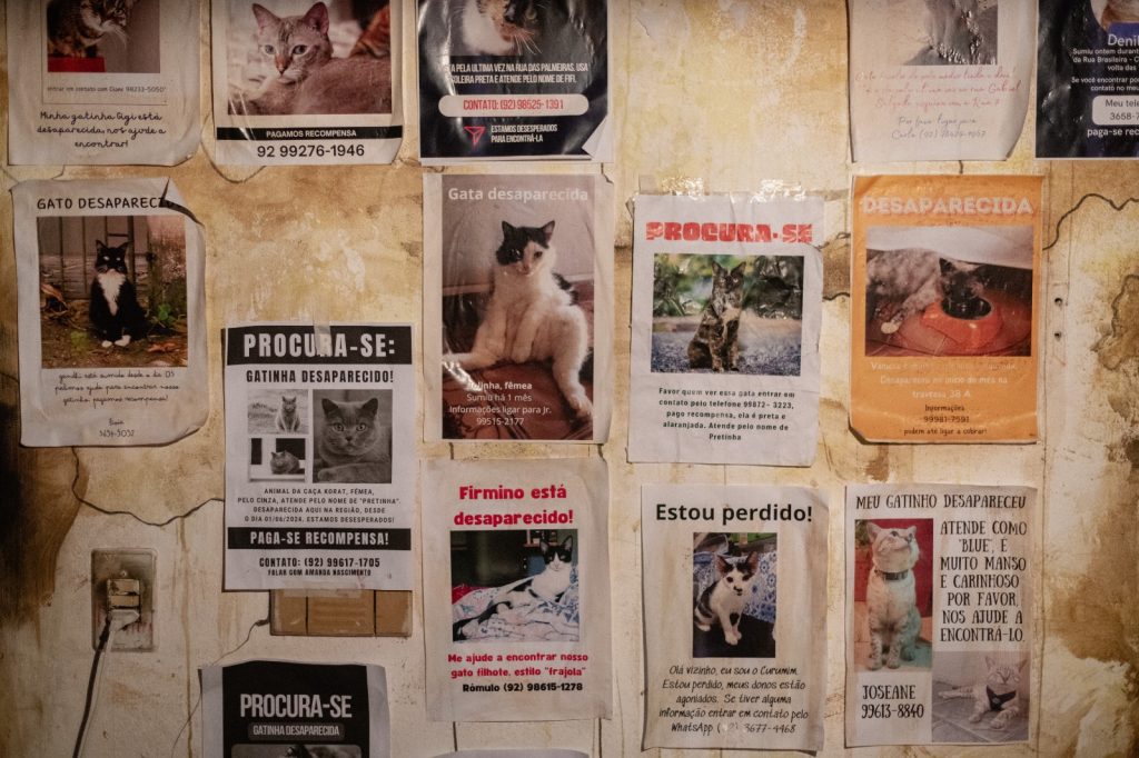 ‘Mata-Gato’: Curta-metragem de André Cunha estreia com sessão especial no Teatro Gebes Medeiros 5 ‘Mata-Gato’: Curta-metragem de André Cunha estreia com sessão especial no Teatro Gebes Medeiros