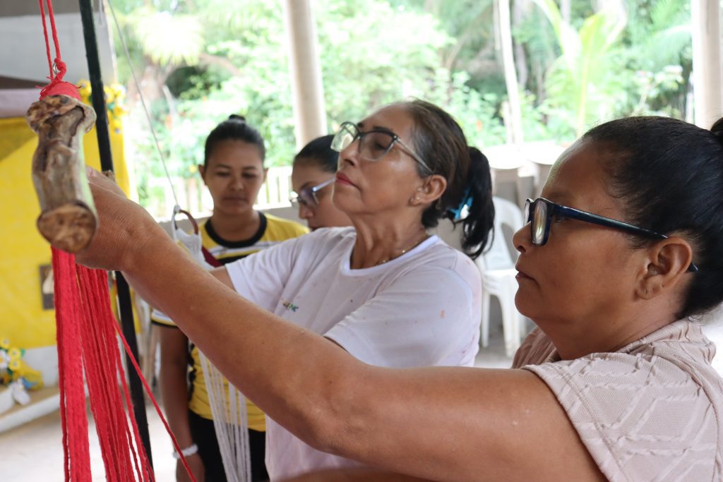 Foto: Reprodução/Agência Amazonas