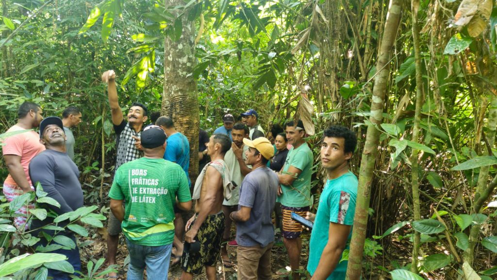 Em Canutama, extrativistas recebem orientação sobre extração de látex e óleos vegetais 3 Em Canutama, extrativistas recebem orientação sobre extração de látex e óleos vegetais