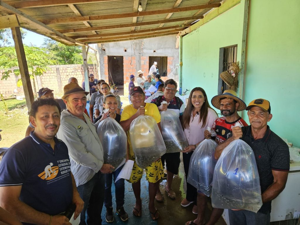 Governo do Amazonas entrega 60 mil alevinos para piscicultores de Iranduba 5 Governo do Amazonas entrega 60 mil alevinos para piscicultores de Iranduba