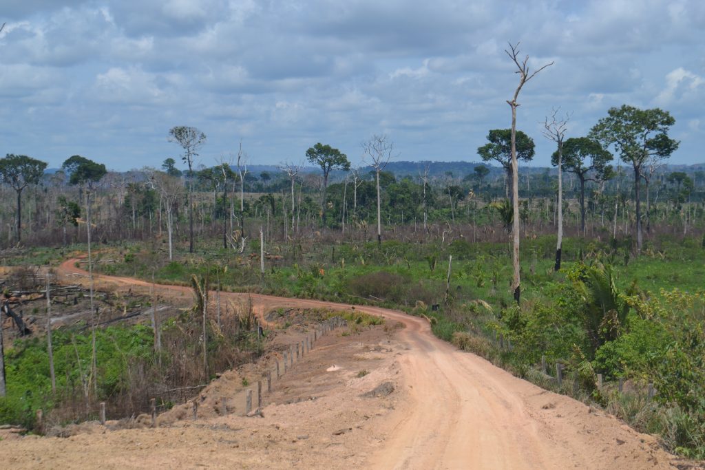 Foto: Reprodução/Agência Amazonas