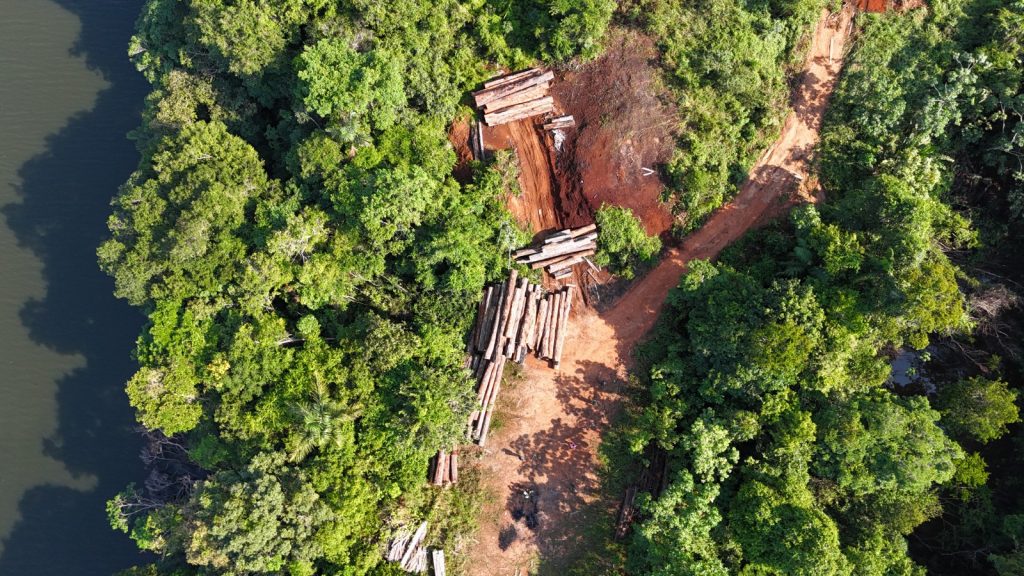Foto: Reprodução/Agência Amazonas