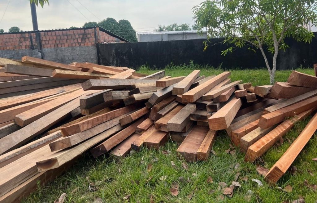 Foto: Reprodução/Agência Amazonas