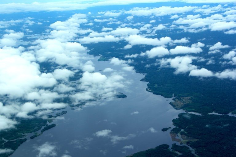 Agosto: focos de calor no Amazonas caem ao nível mais baixo desde 2011 e desmatamento diminui