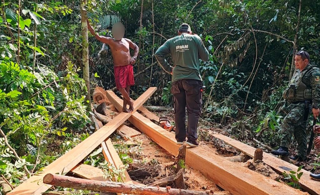 Foto: Reprodução/Agência Amazonas