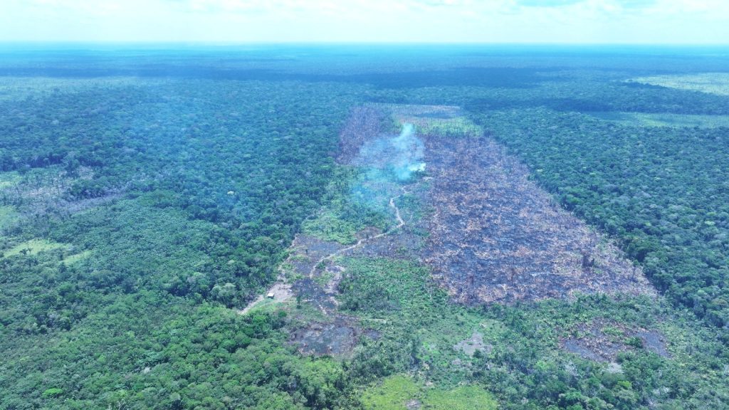 Foto: Reprodução/Agência Amazonas