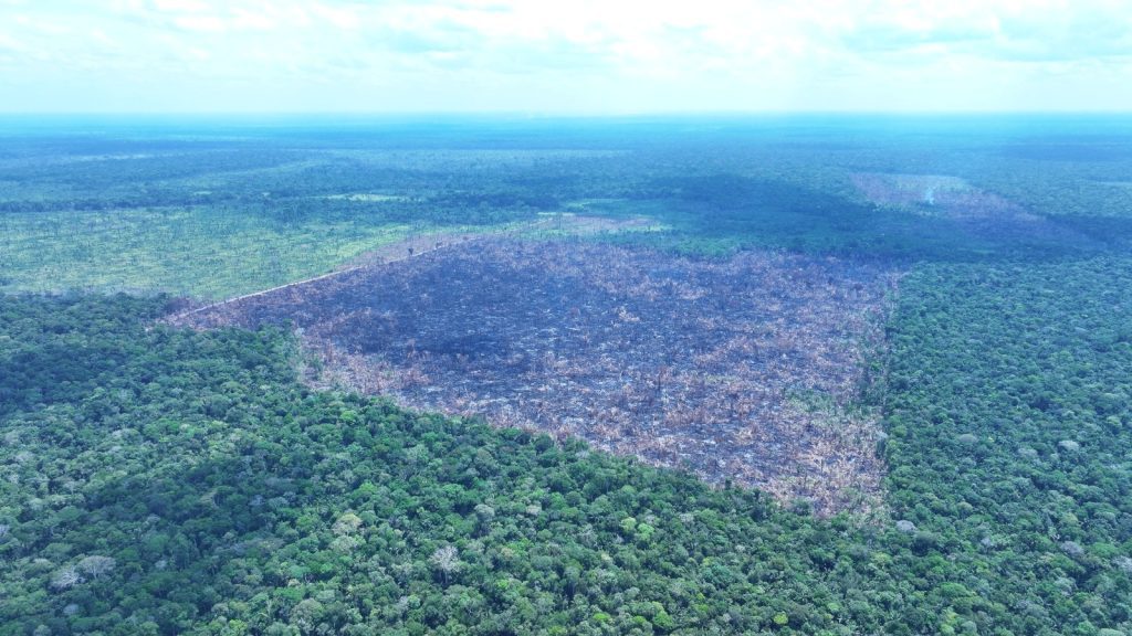 Foto: Reprodução/Agência Amazonas