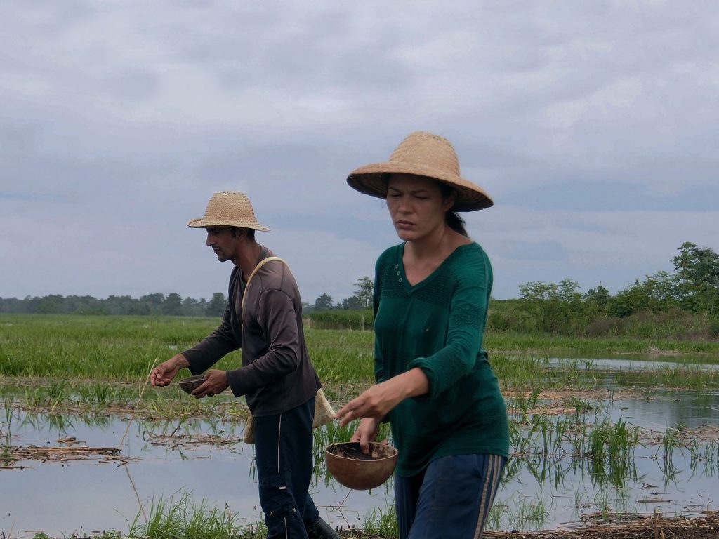 Foto: Reprodução/Agência Amazonas