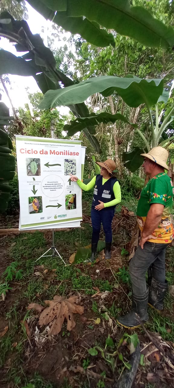 Dia da Agricultura: adoção de boas práticas no cultivo garante sanidade vegetal, alerta Adaf