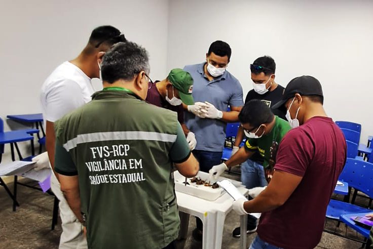 Tabatinga recebe treinamento especializado em controle de morcegos transmissores de doenças