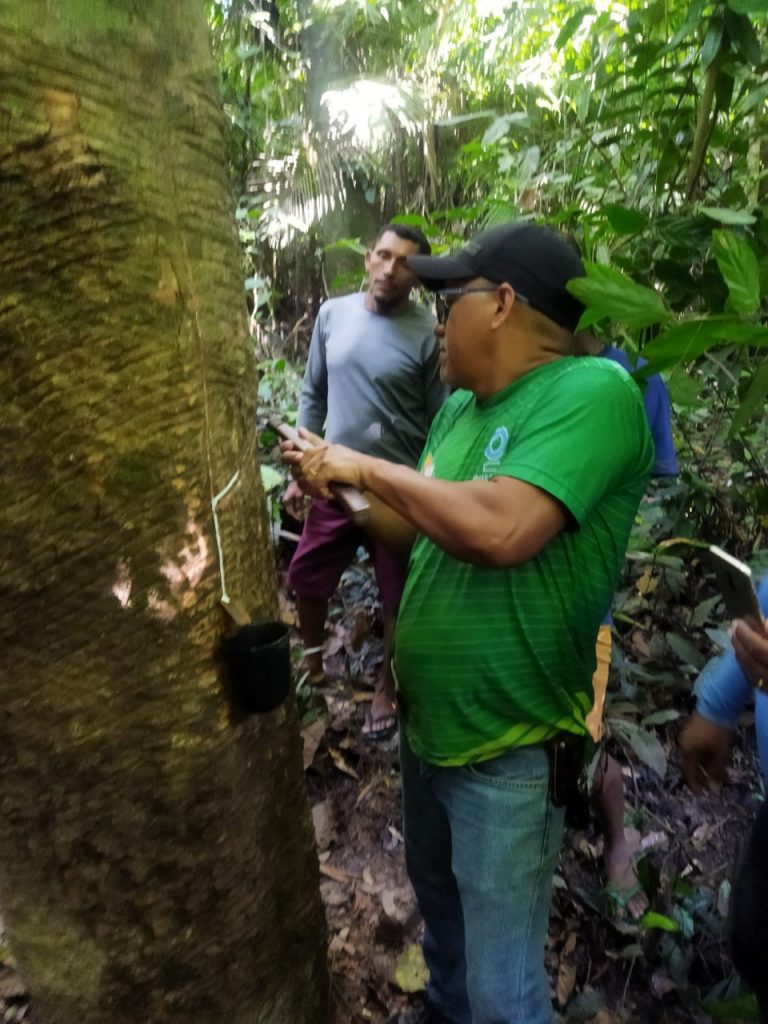 Idam já capacitou 272 extrativistas como parte do projeto Paisagens Sustentáveis da Amazônia em 2025