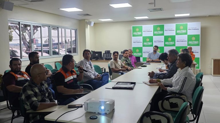 Prevenção ao desmatamento e queimadas: Comitê da Sema apresenta resultados da 4ª fase